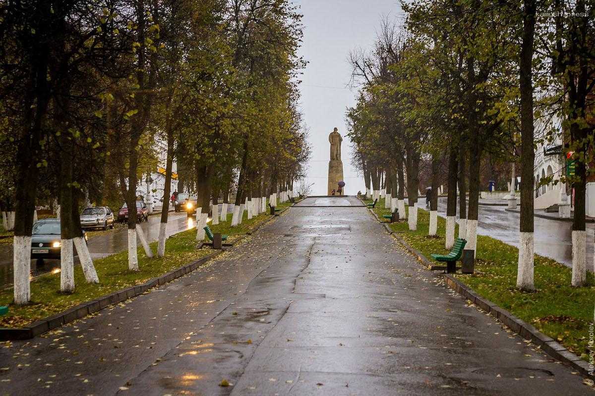 В Костроме снесут больные деревья и омолодят здоровые