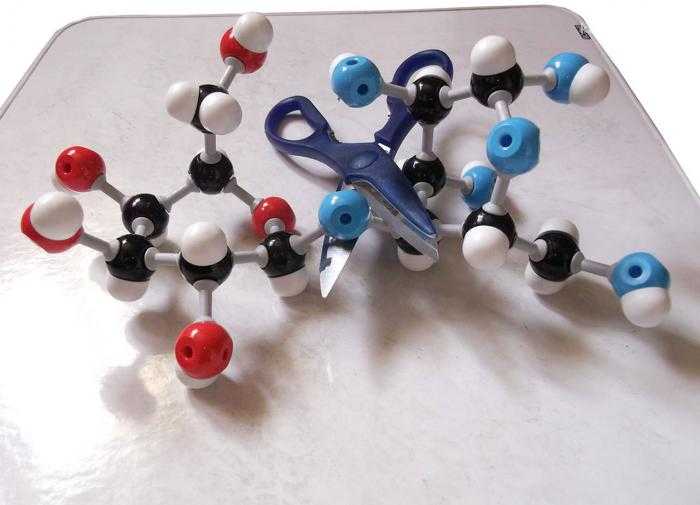 Генетик рассказал, почему не следует бояться ГМО-продуктов
