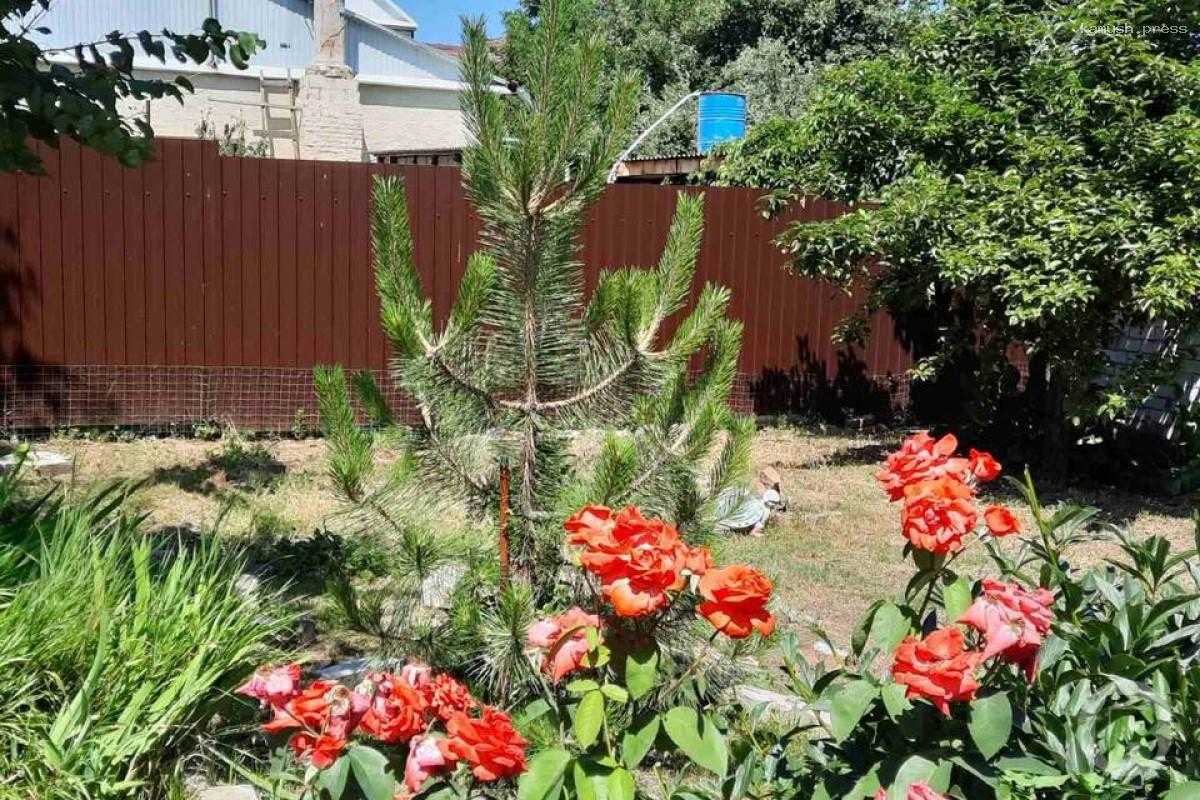 В Волгоградской области сады и дачи смогут образовывать населенный пункт