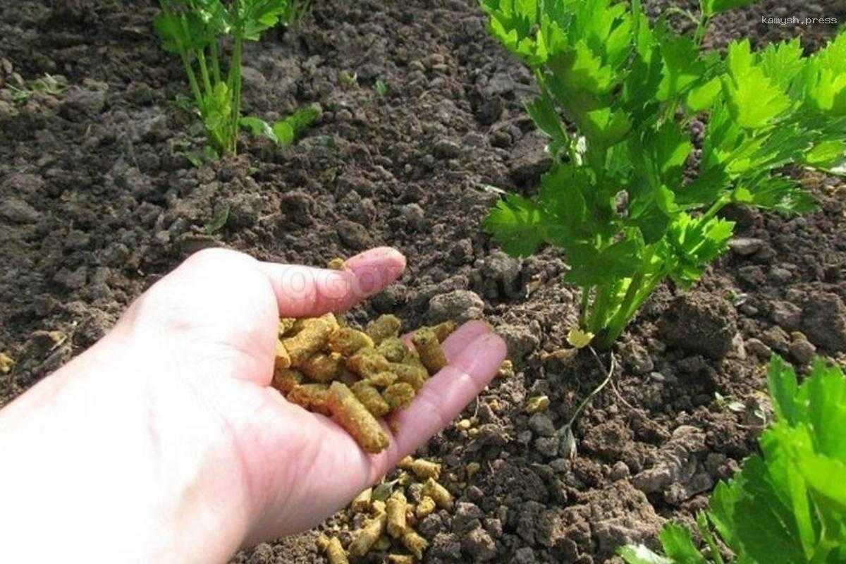 Вкусовые качества растений зависят от микробов в почве