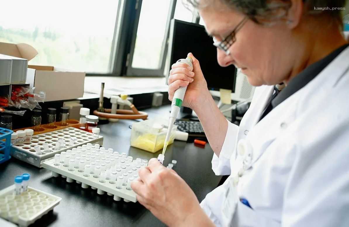 В Нижегородской области создали новый препарат для лечения рака