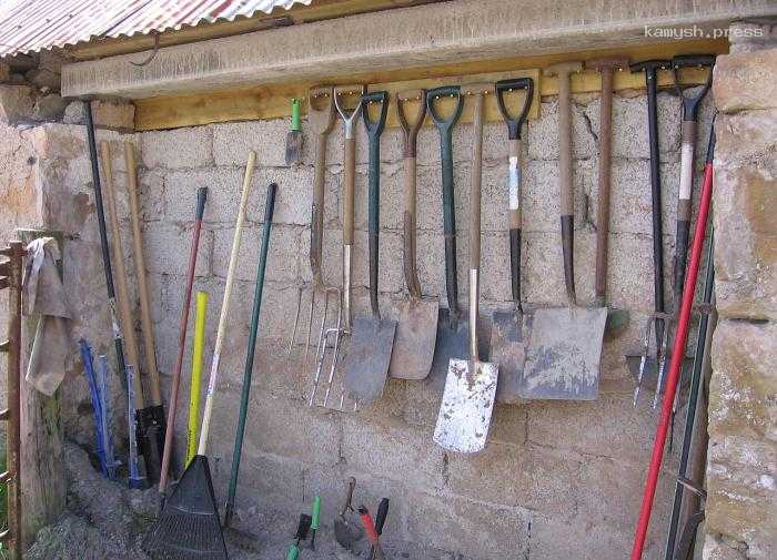 Эксперт объяснил, как правильно обрабатывать садовые инструменты