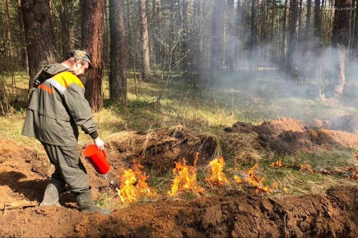 Ярославщину накрыло настоящее стихийное бедствие