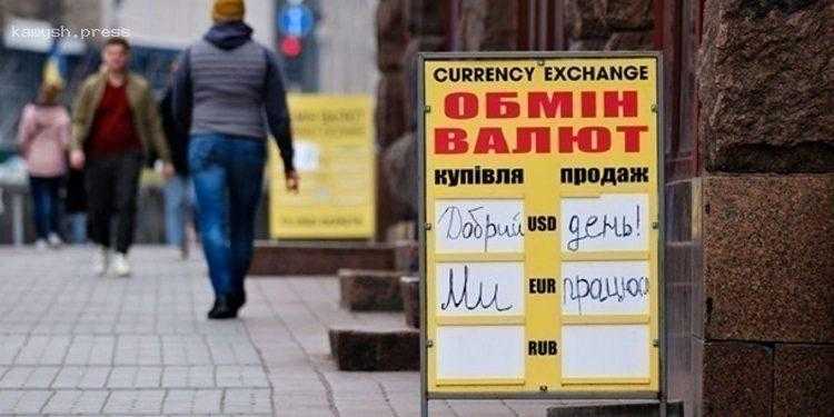 Финансист спрогнозировал «коридор» наличного и межбанковского курса доллара с 13 мая по 20 мая