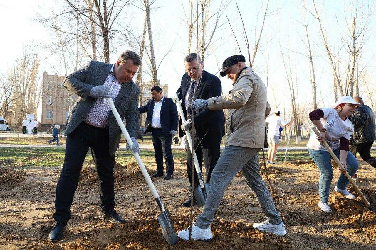 В Астраханской области высадили первые 8 тысяч деревьев в рамках акции «Сад памяти»