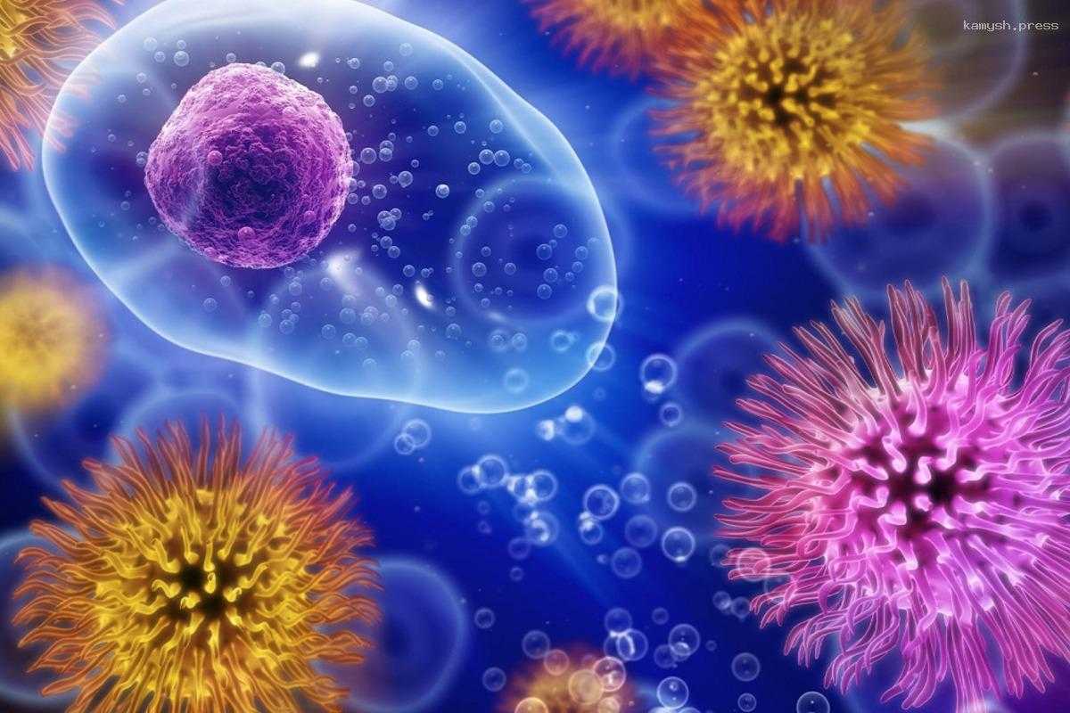 Кандидат биологических наук рассказал о роли вирусов в эволюции живых существ