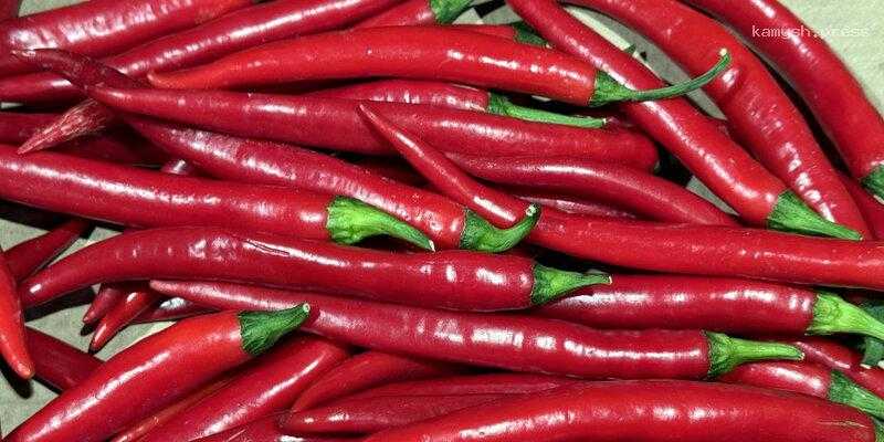 Житель Волгоградской области умер после месяца употребления самого жгучего перца в мире