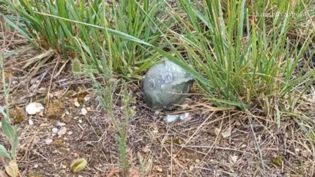 Губернатор сообщил о разбросанных под Севастополем суббоеприпасах М74