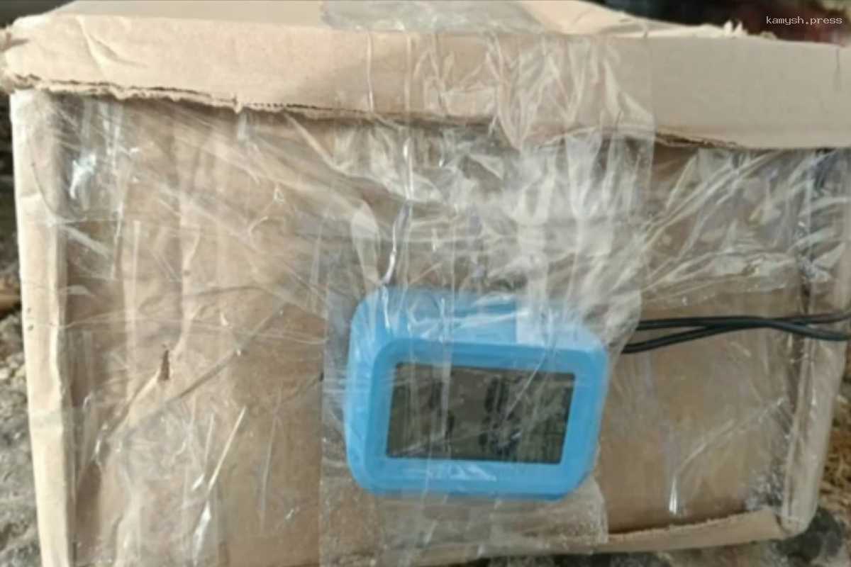 Третья фигурантка дела о ложном сообщении о теракте находится в международном розыске