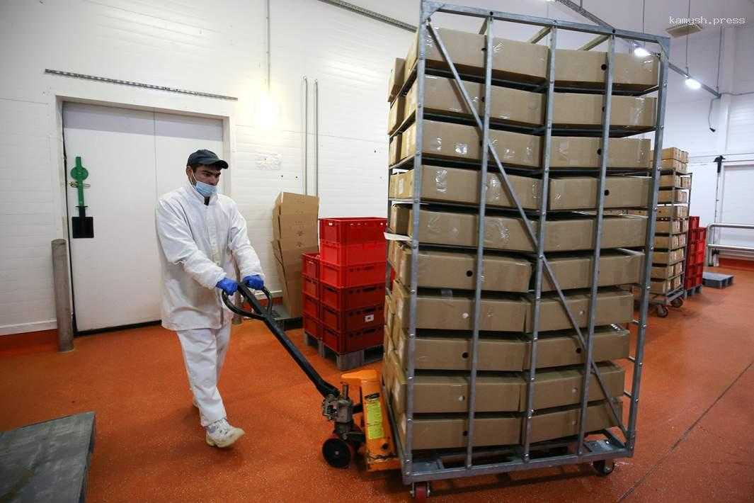 Вскоре россиянам станет легче купить свежее мясо в магазине