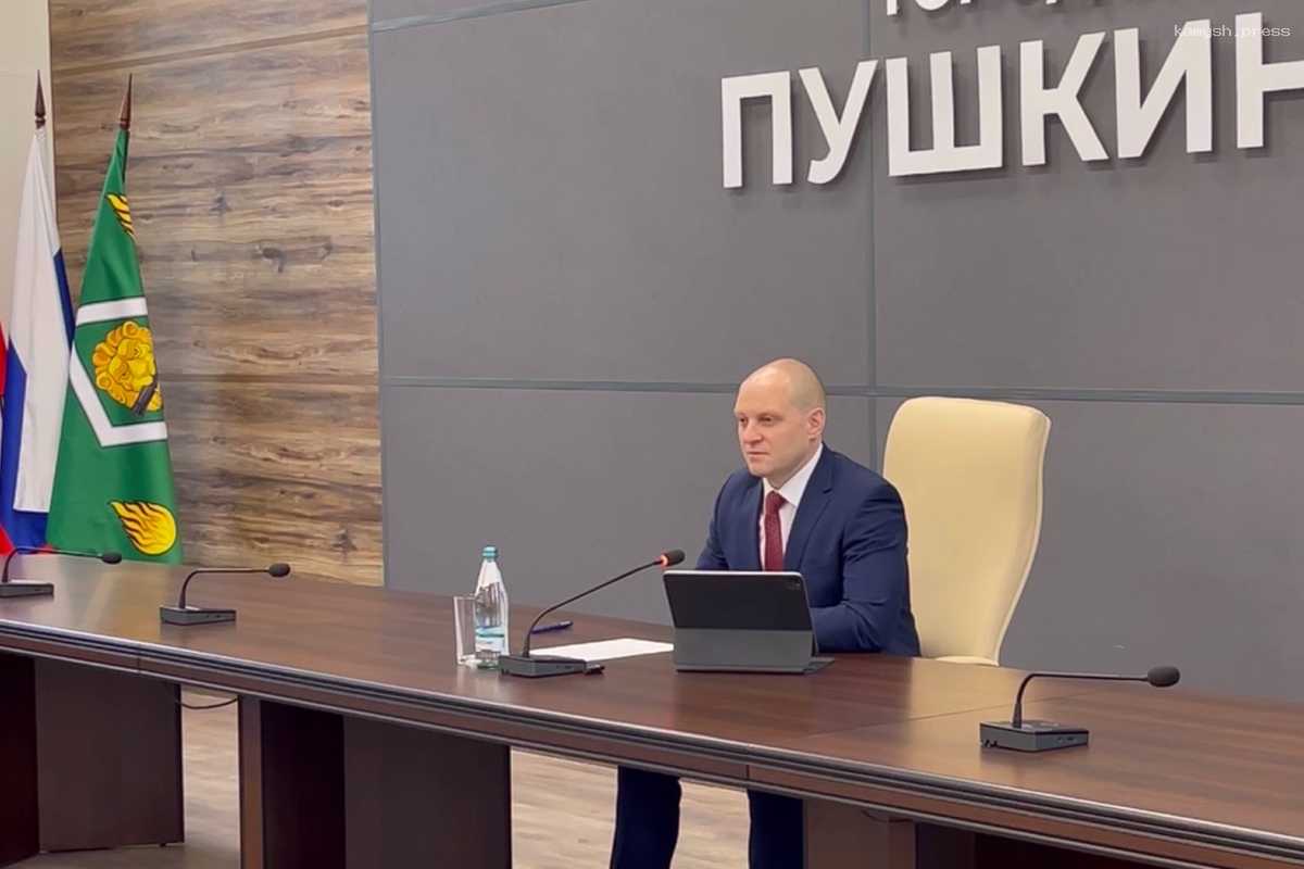 В администрации г.о. Пушкинский обсудили субботники и ликвидацию подтоплений