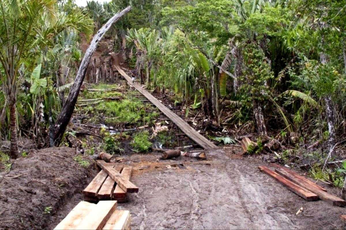 Ученые пытаются защитить заповедники Мадагаскара с помощью ИИ