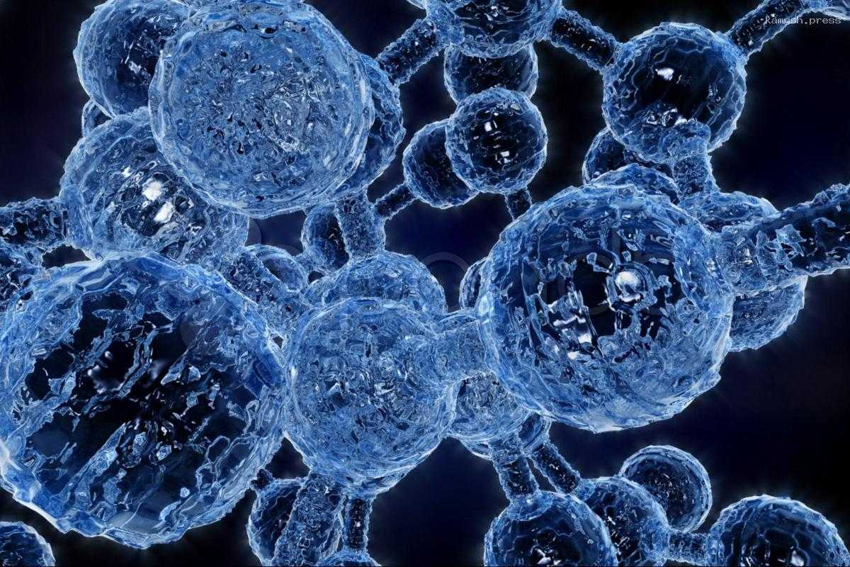 Американские ученые выявили биотехнологию будущего