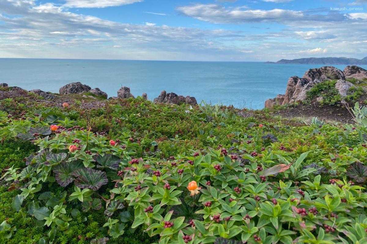 Представители заполярного турбизнеса получат поддержку государства