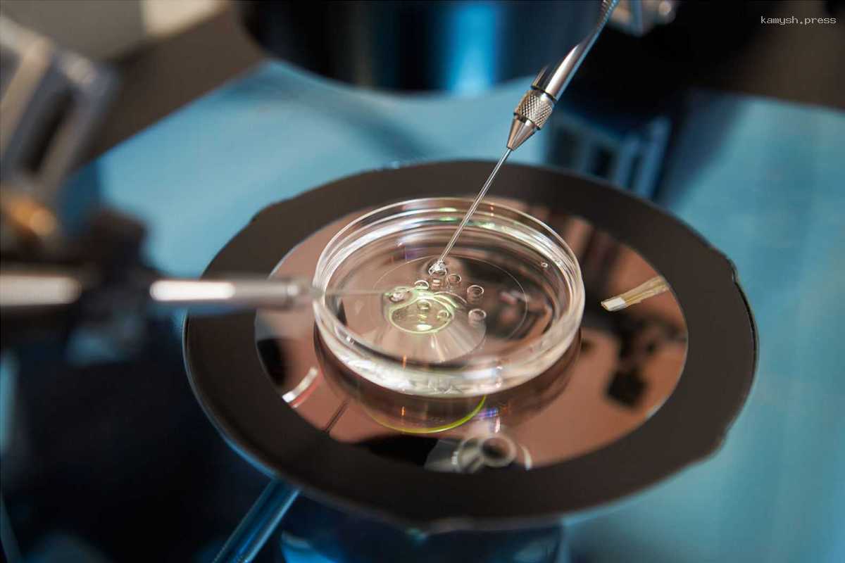 353 процедуры ЭКО в этом году обошлись Пензенской области почти в 40 млн рублей