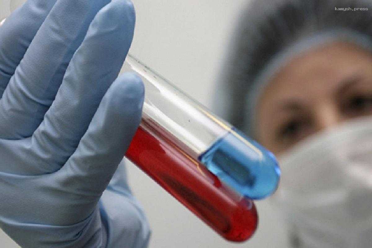 У детей, прибывших из Белгорода в Петербург, выявлен норовариус