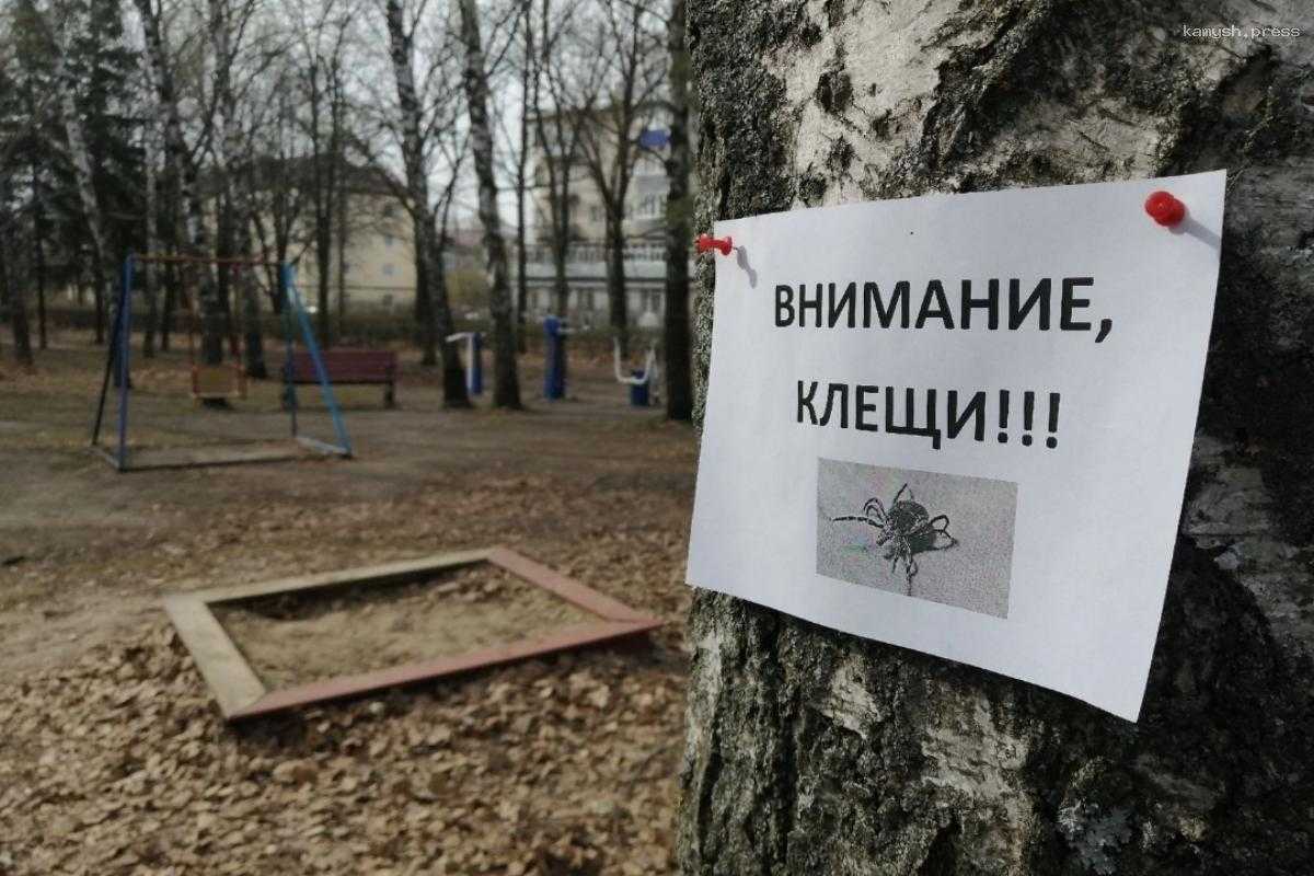 В ХМАО резко выросло число людей, укушенных клещами