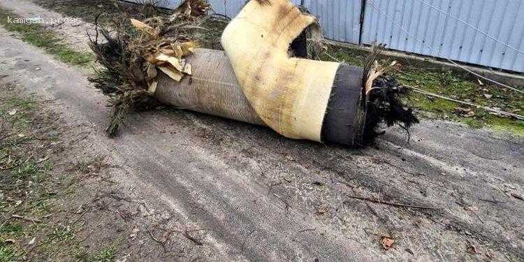 В КНИИСЭ изучили реальные характеристики российских «Цирконов», опровергнув «супер» возможности ракет