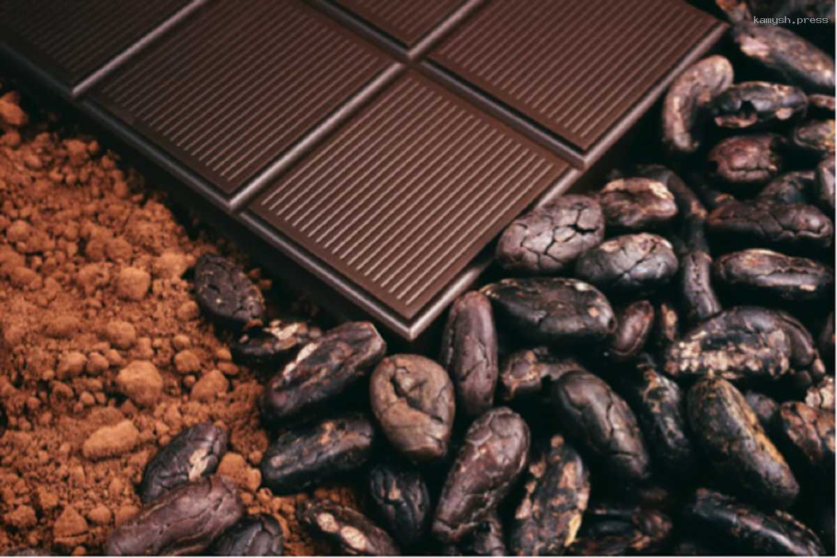 Ученые признали шоколад средством борьбы с болезнью Альцгеймера