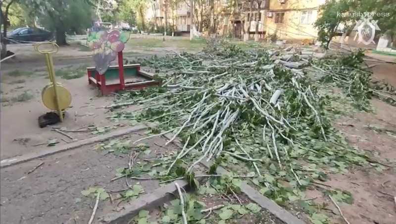 В Астрахани из-за падения дерева погиб ребенок