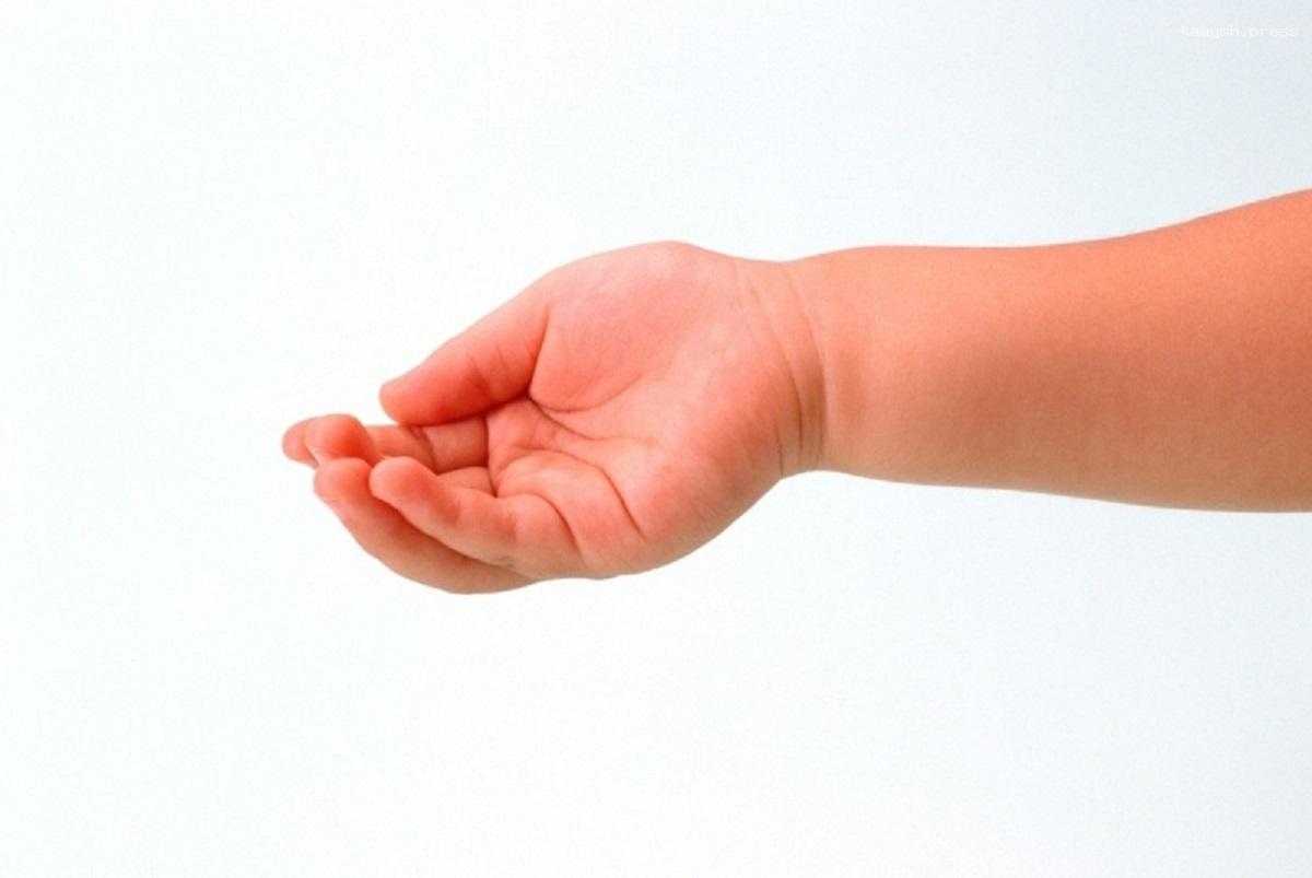 Тело младенца найдено в парке в Санкт-Петербурга, полиция начала расследование