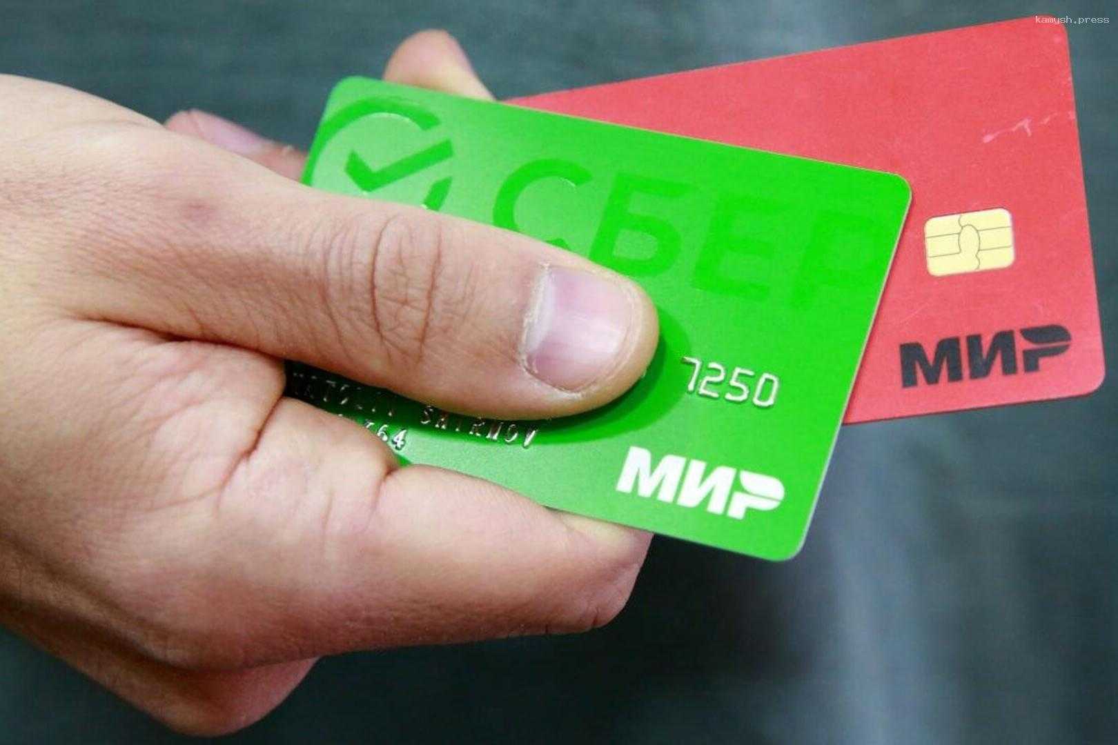 В Иране готовят пилотный проект по приему карт «Мир»