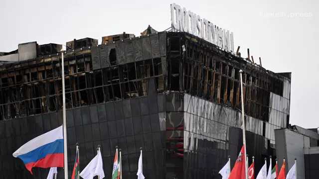 Жительница Новосибирска ищет пропавшего брата, бывшего в «Крокусе», которого объявили мертвым