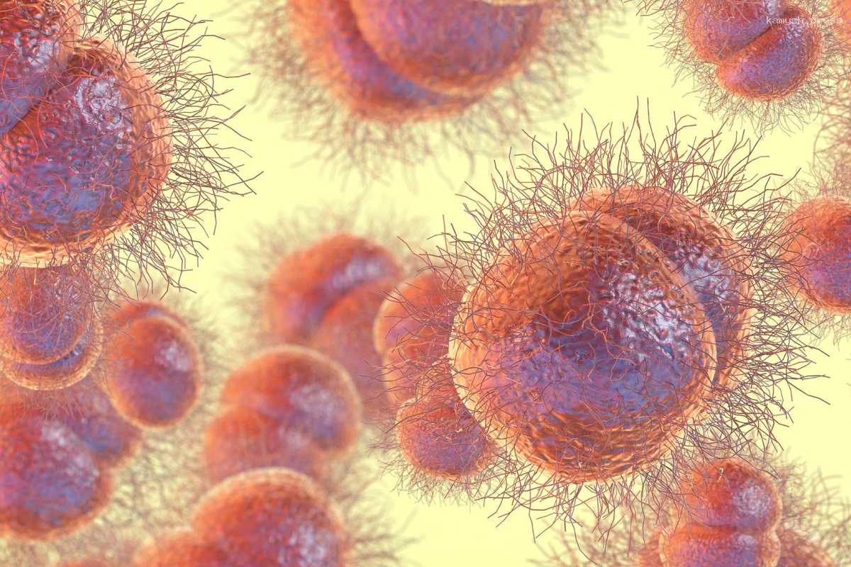 В Китае столкнулись со штаммами гонореи, которые не лечатся антибиотиками