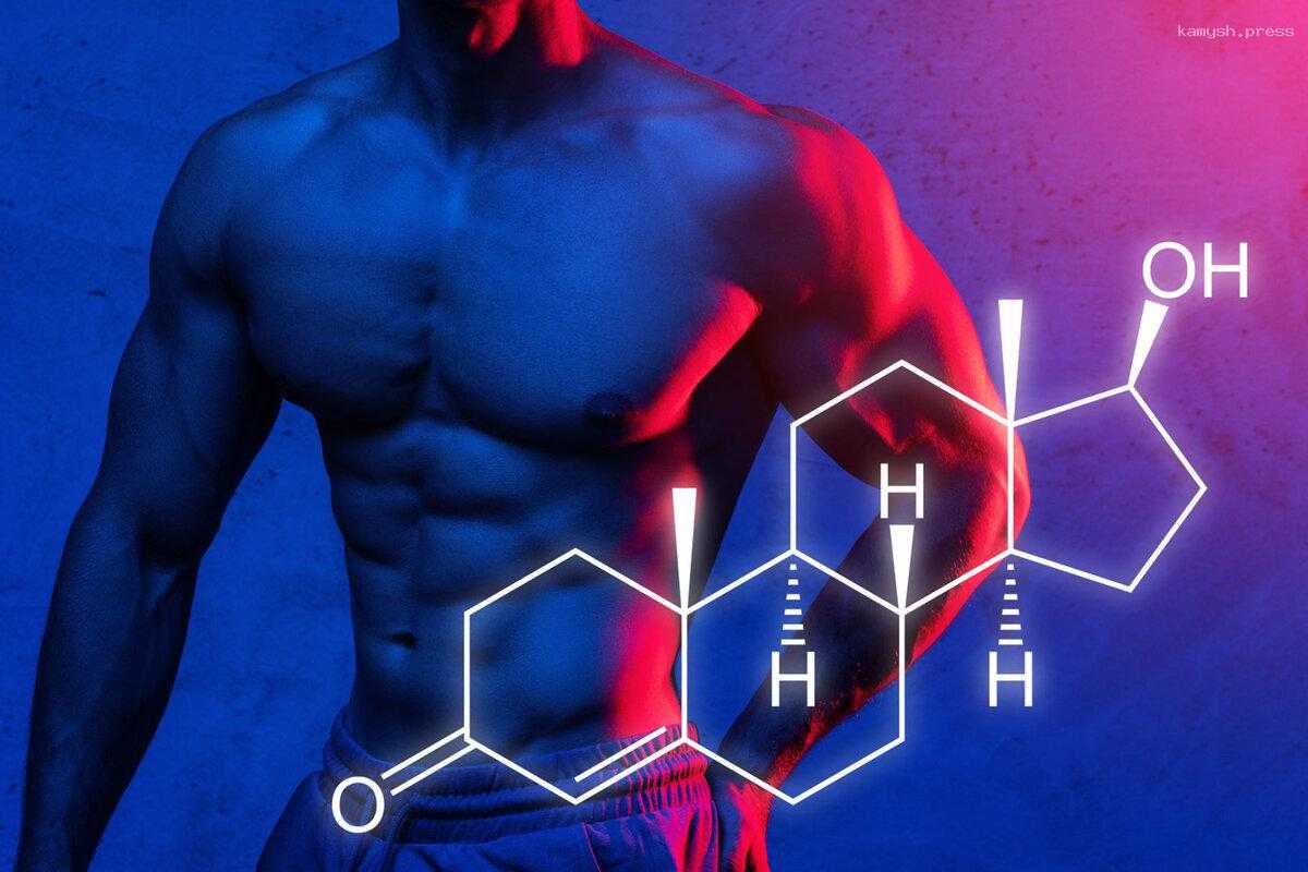 Стало известно, как тестостерон влияет на мужчин и женщин
