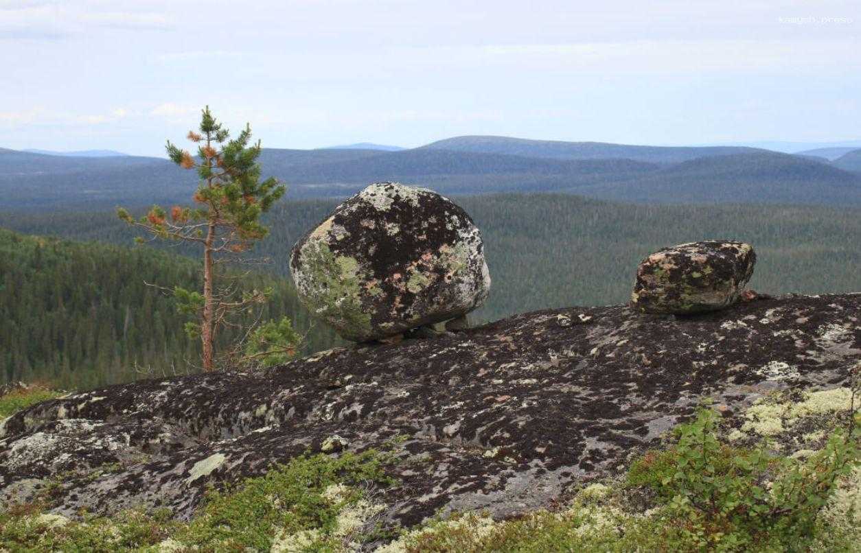 Ночные экскурсии в полярный день организует Лапландский заповедник