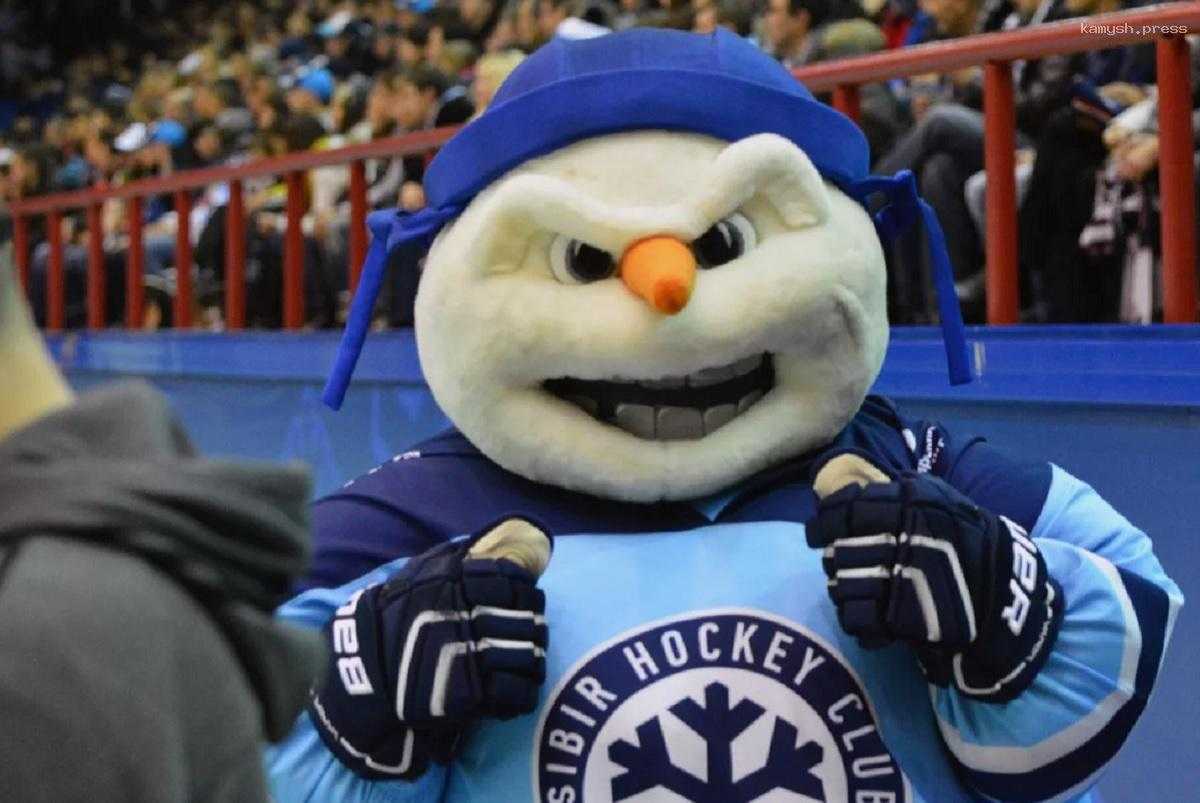 Губернатор Новосибирской области недоволен результатами ХК «Сибирь» и поставит перед тренерским штабом непростые задачи