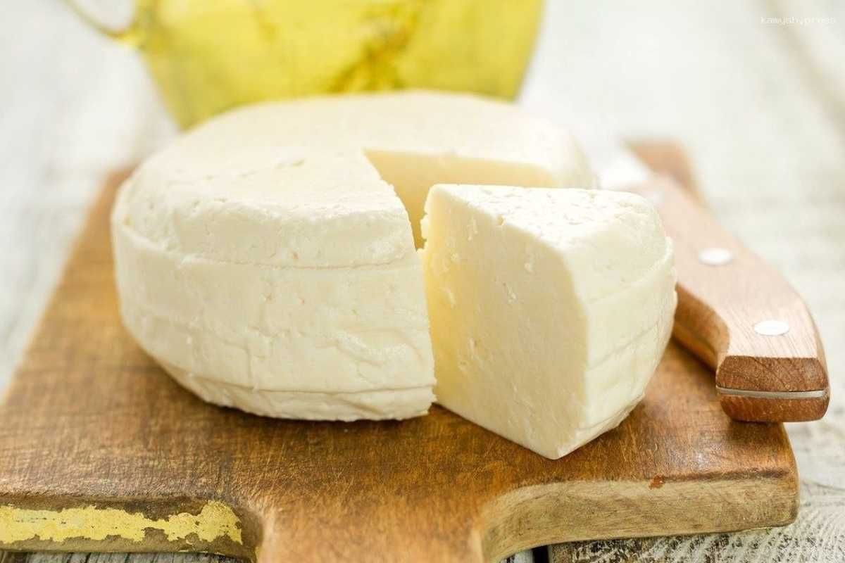 В социальные учреждения Архангельской области поступил сырный фальсификат