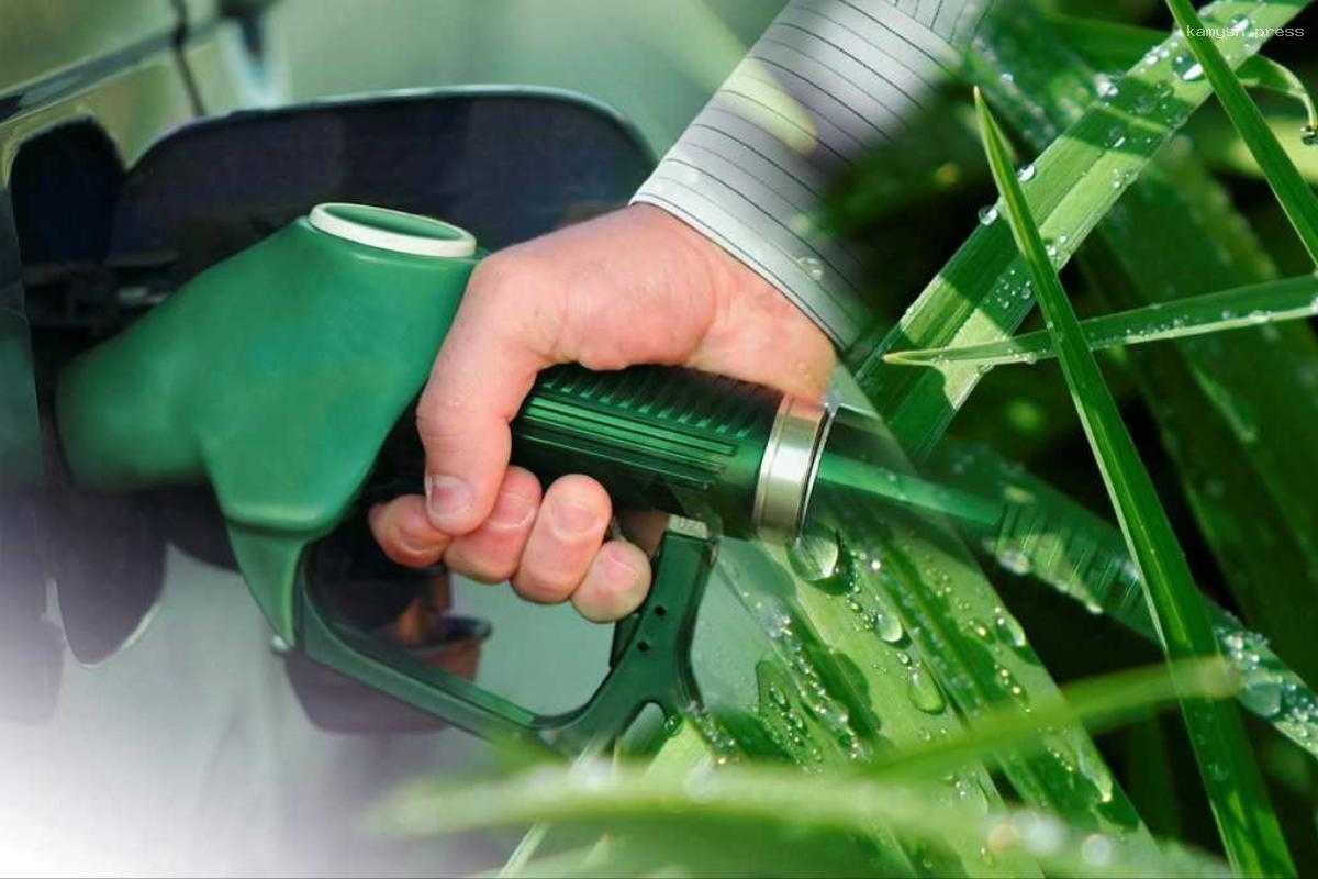 Российские ученые открыли новые добавки для биотоплива