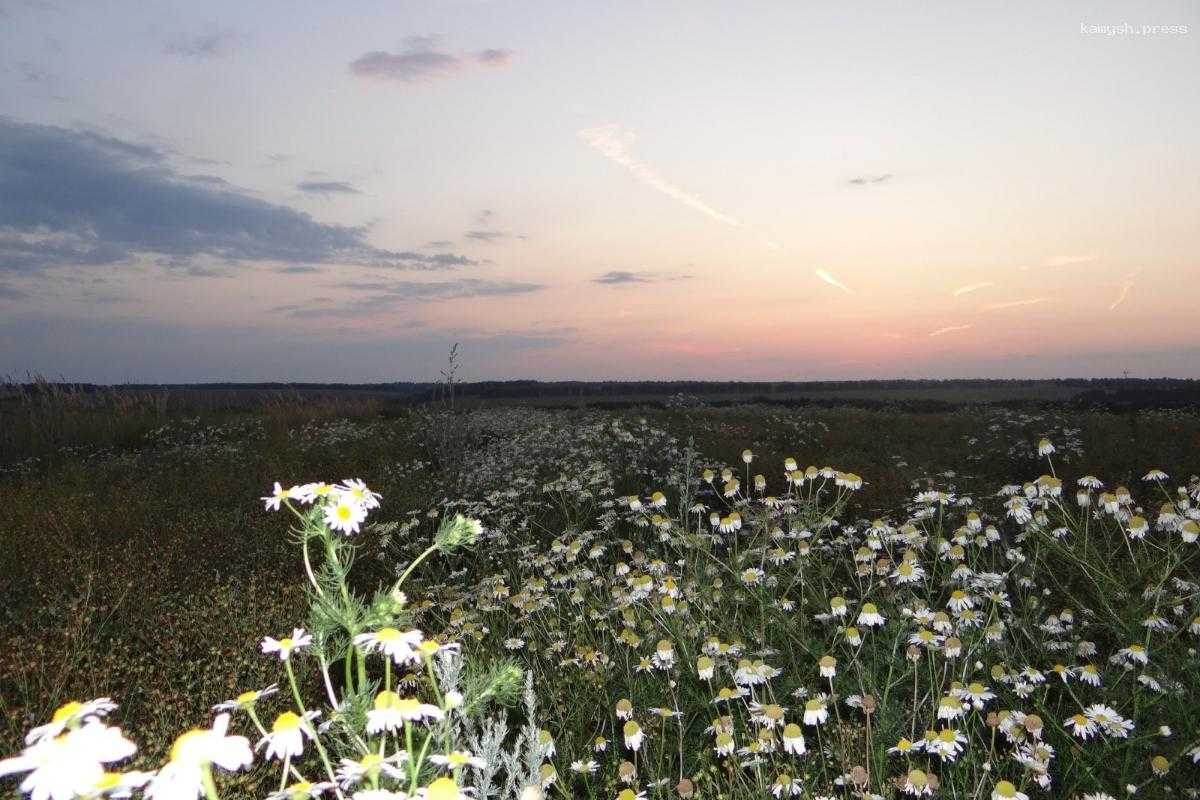 В Тамбовской области запускают новые проекты развития туризма