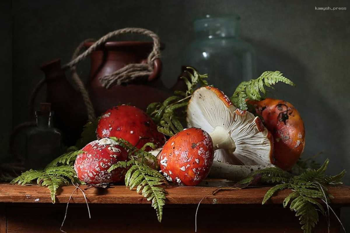 Чукотка расскажет на конференции «Вкус Заполярья» о напитках из мухоморов