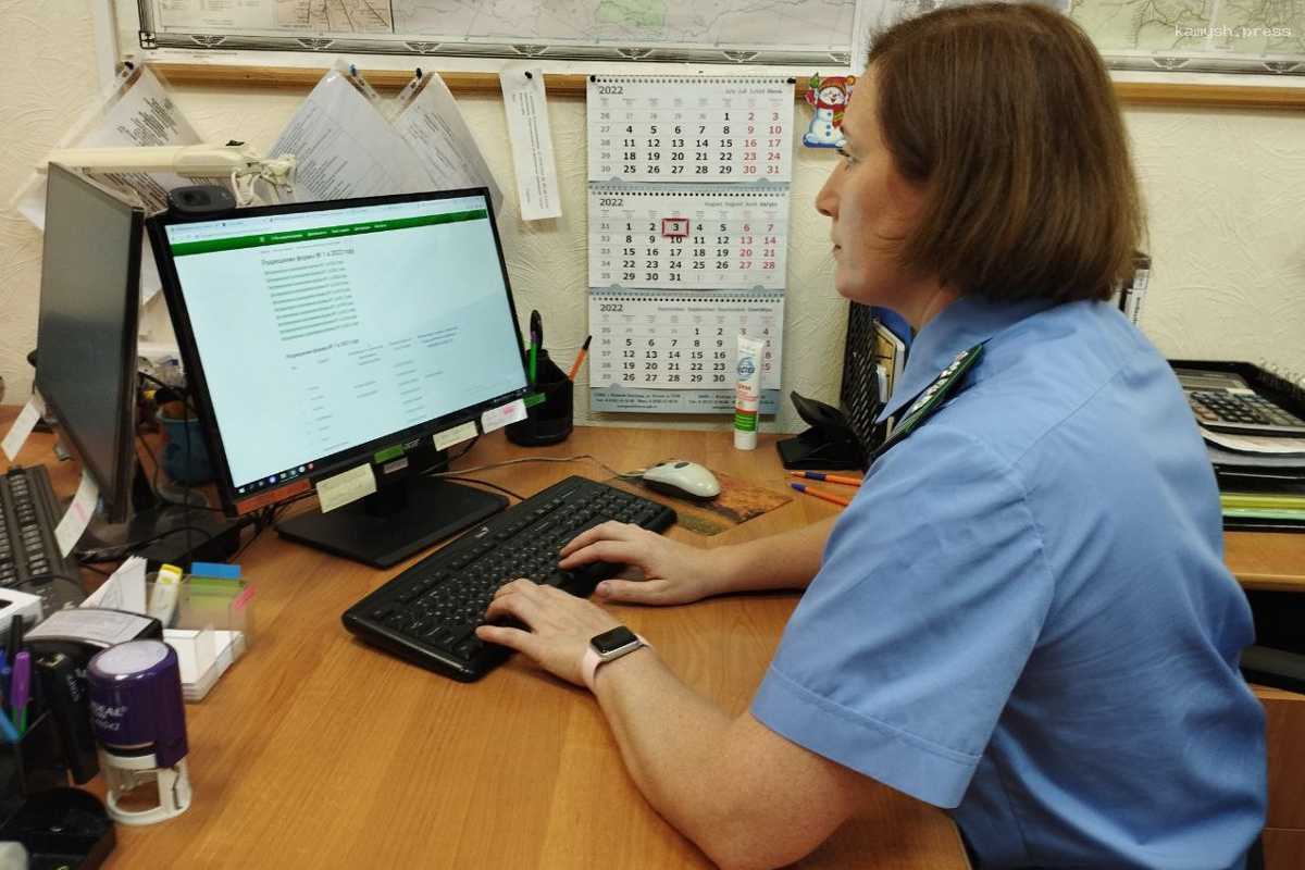 В Вологде выявили 300 кг замороженной рыбы с неверными сроками годности