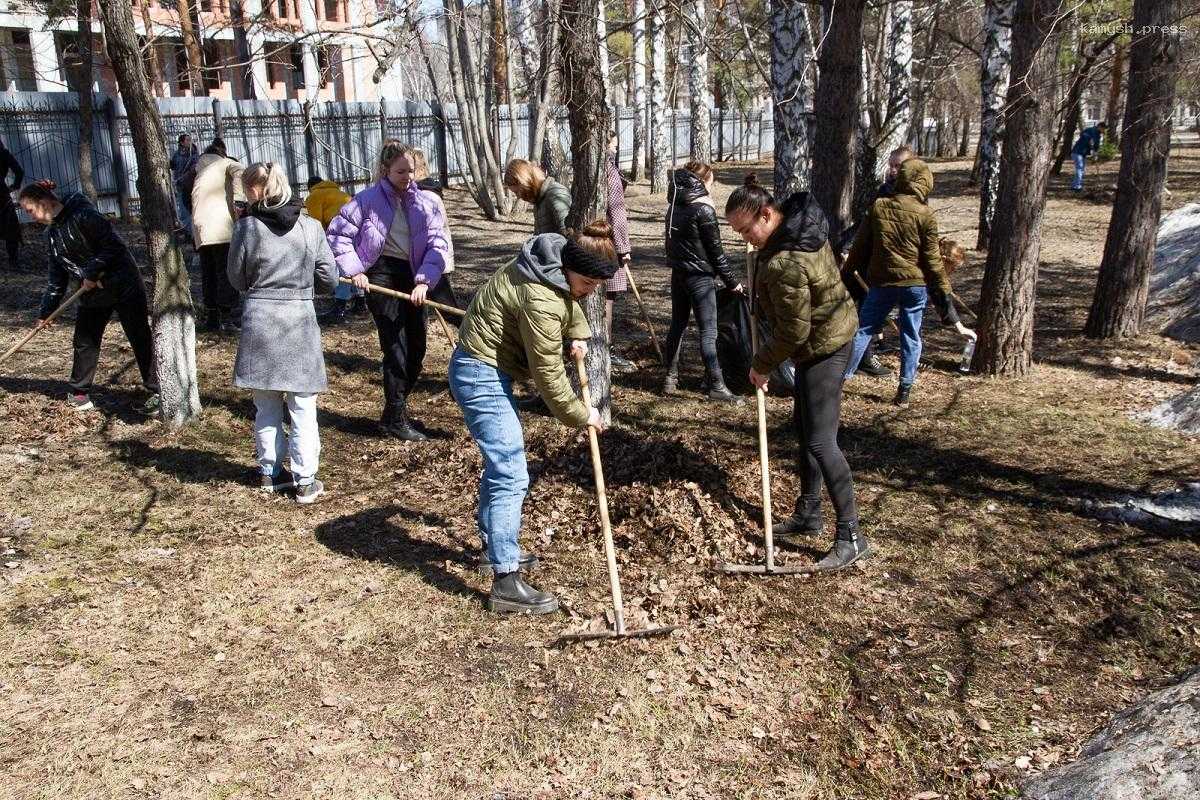 В Приангарье грядет месячник по санитарной очистке и благоустройству, власти создали региональный штаб