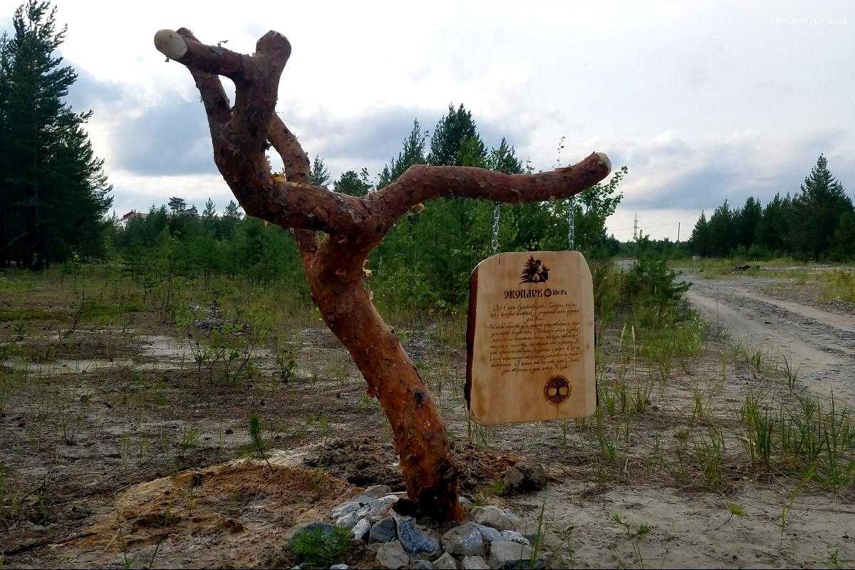 Жители Югры выбрали зоны отдыха для будущего благоустройства