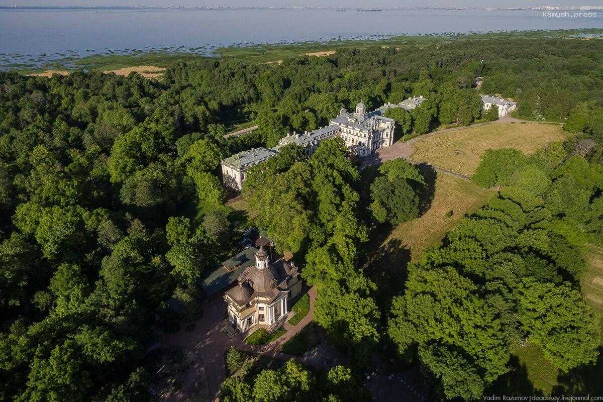 Подросток получил серьезные травмы в результате взрыва петарды