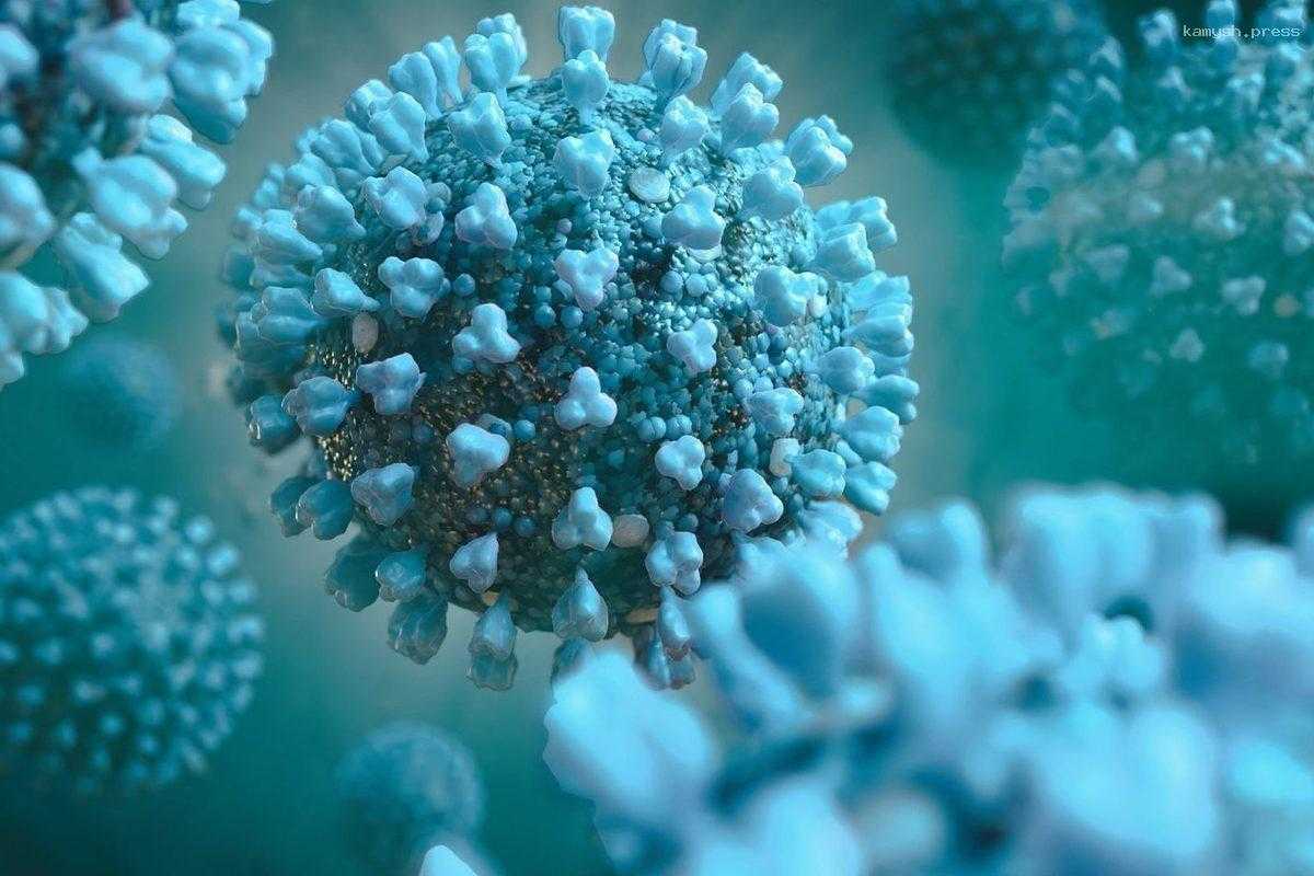 Уровень заболеваемости COVID-19 в Тверской области снизился на 9,7%