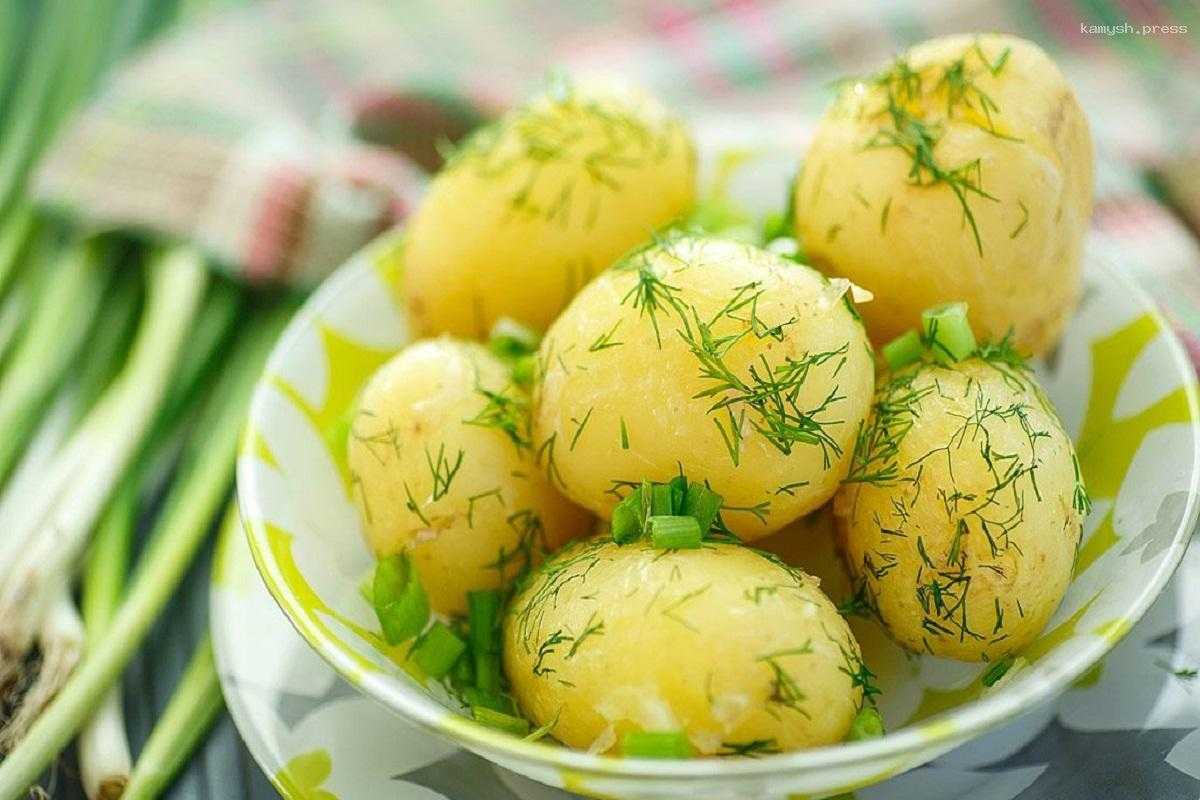 Ученые рассказали о пользе картофеля