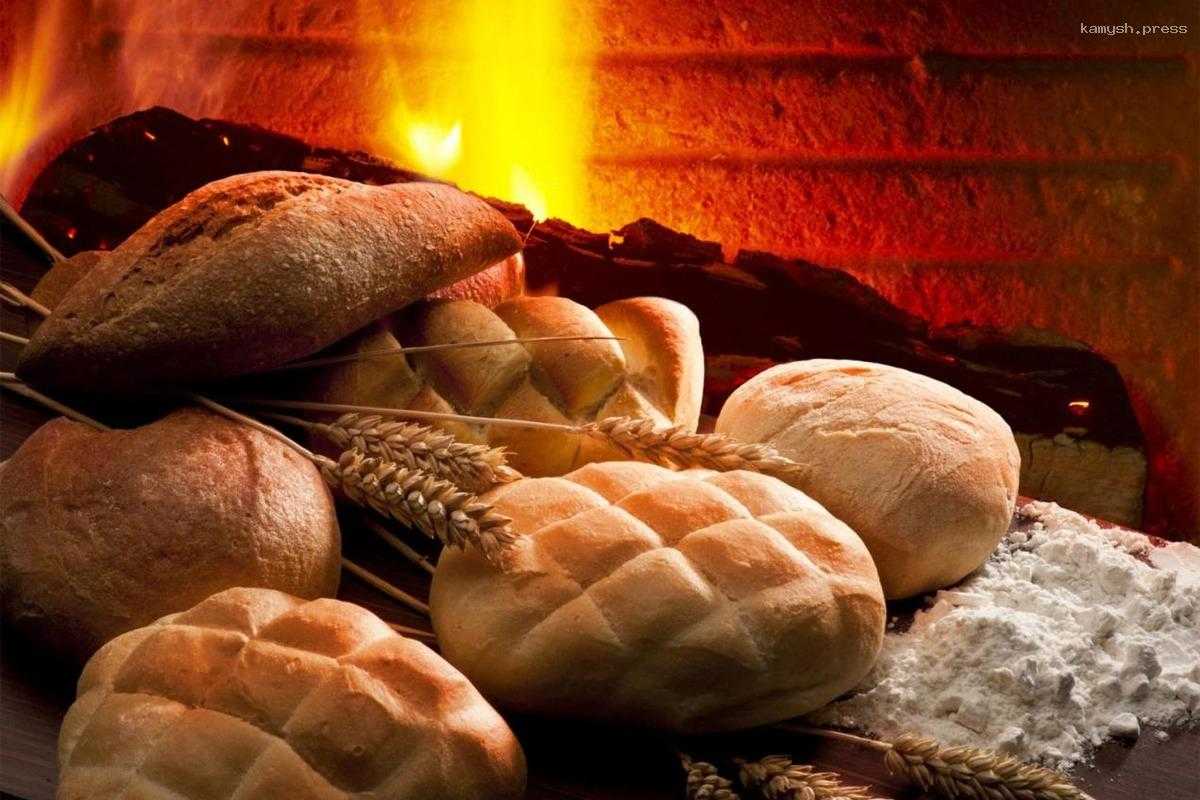 Хлеб с добавкой из мух испекли по технологии компании «Биолаборатория» в «Сколково»