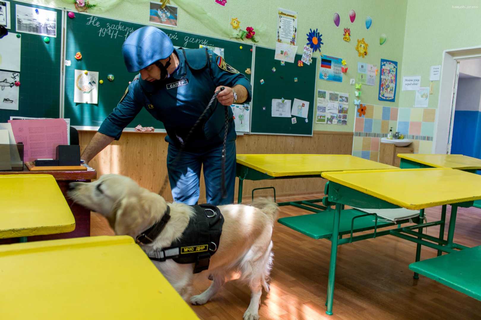 Воронежцев призывают не поддаваться на провокации об угрозе школам