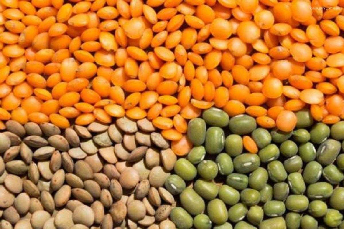 Диетолог Манакер рассказала о пользе бобовых