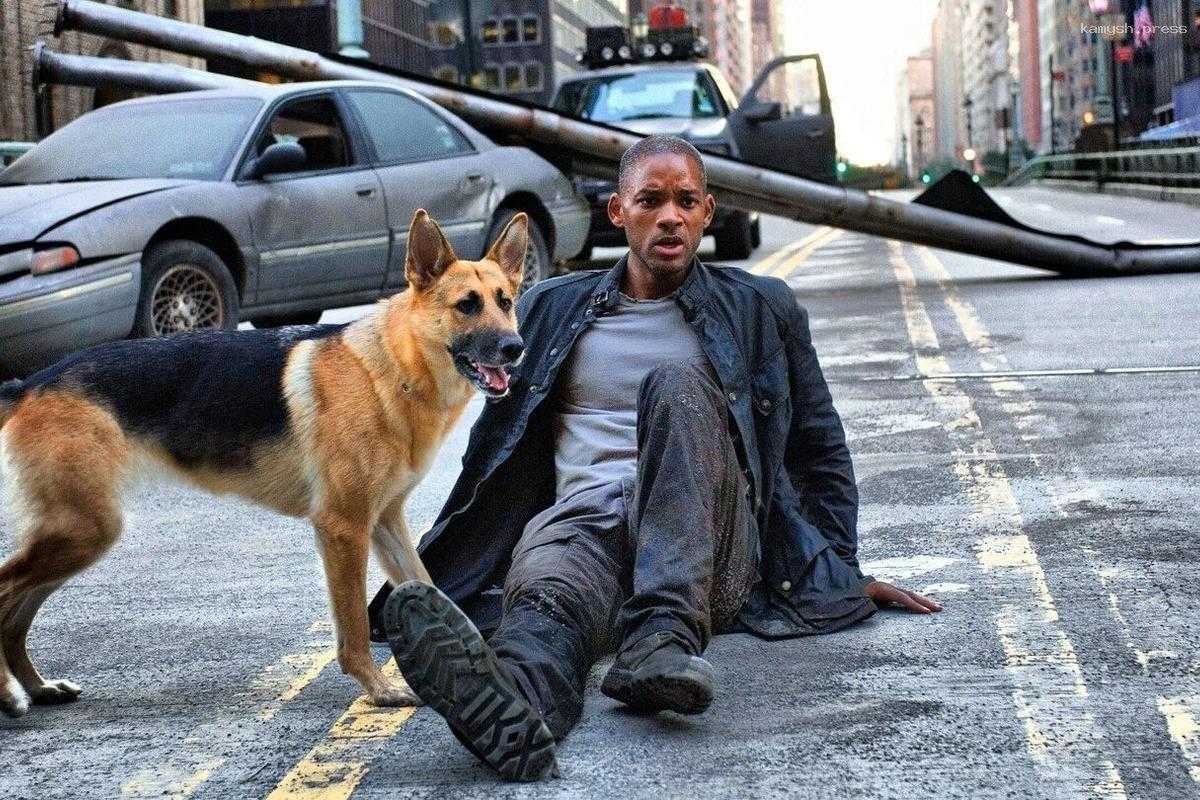 Уилл Смит рассказал, как идет работа над продолжением «Я — легенда»