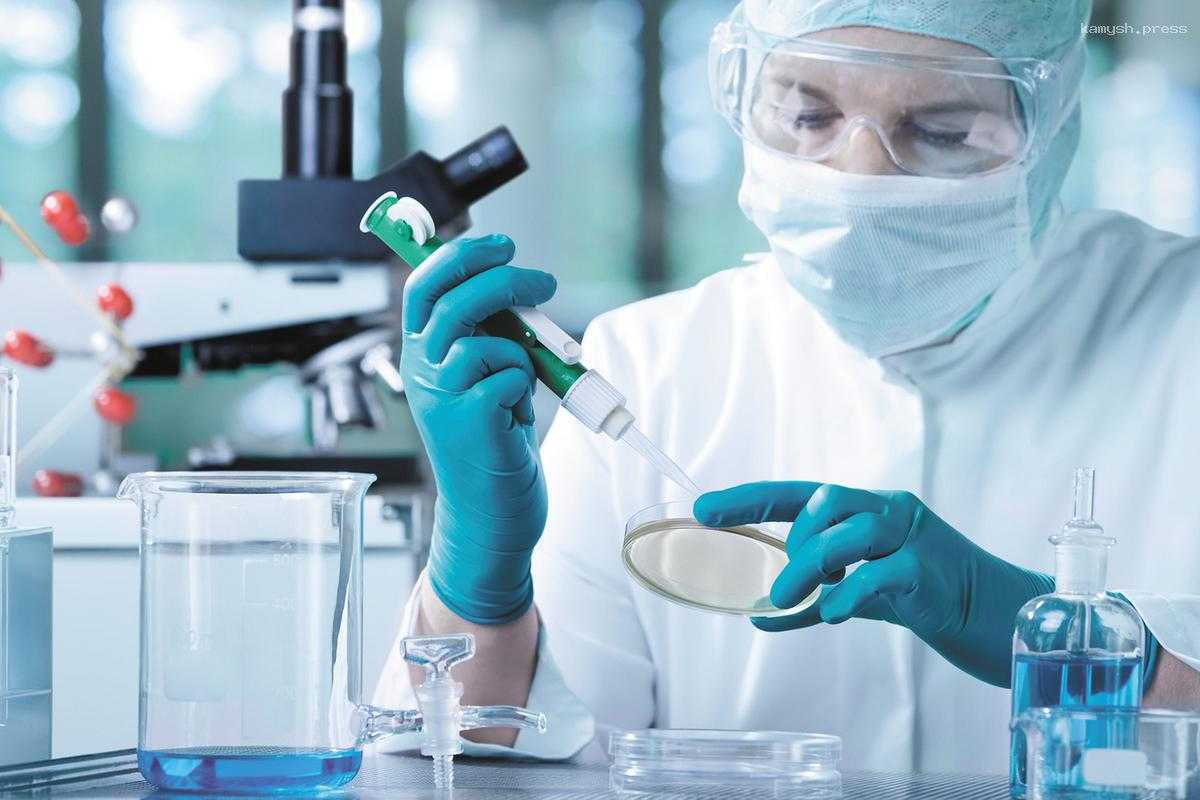 В Армении разработали основу препарата для лечения болезни Альцгеймера