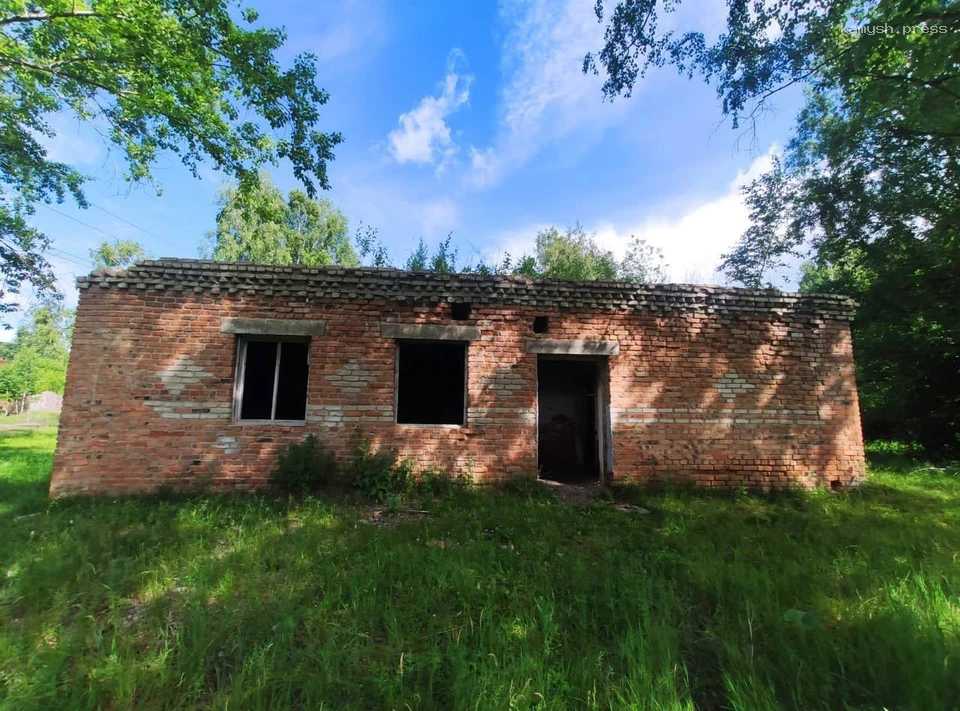 Под Красноярском замглавы сельсовета получила условный срок за халатность