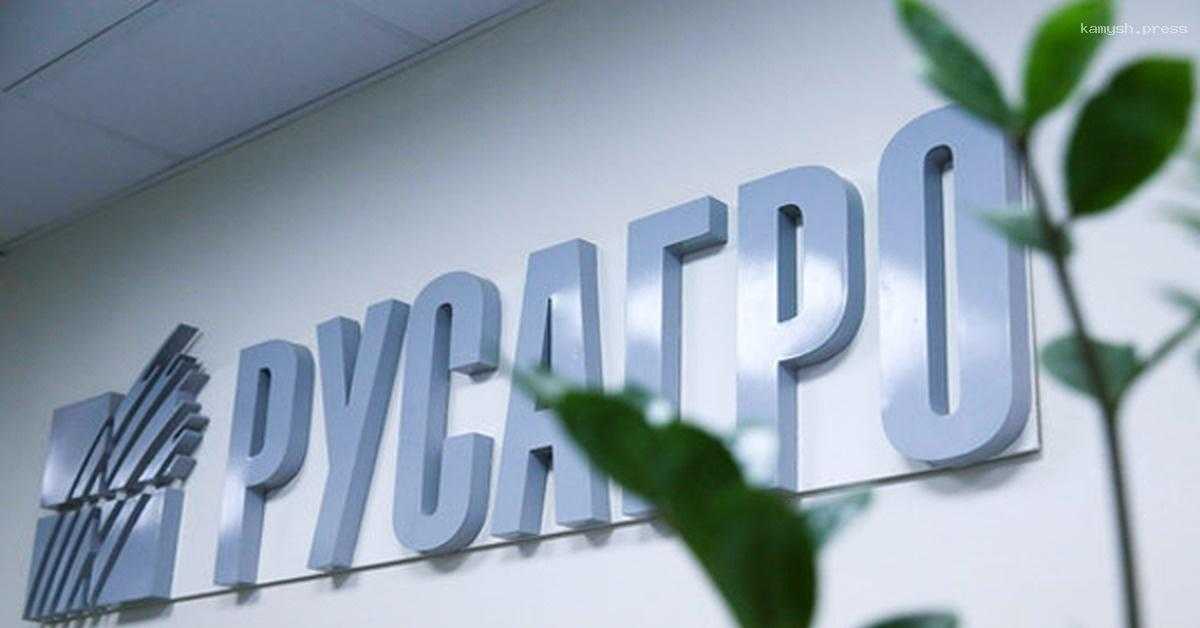 Чистая прибыль «Русагро» снизилась в первом квартале 2024 года
