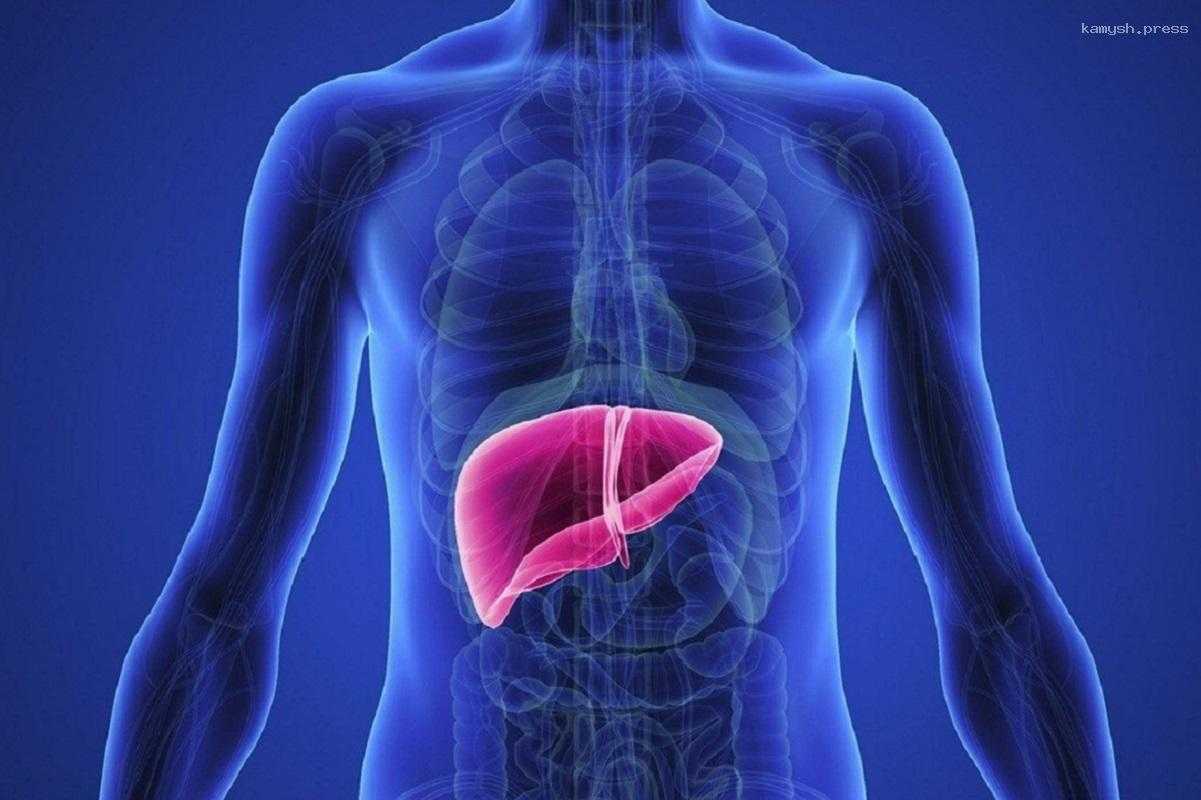 Интервальное голодание снижает негативные последствия воспаление печени