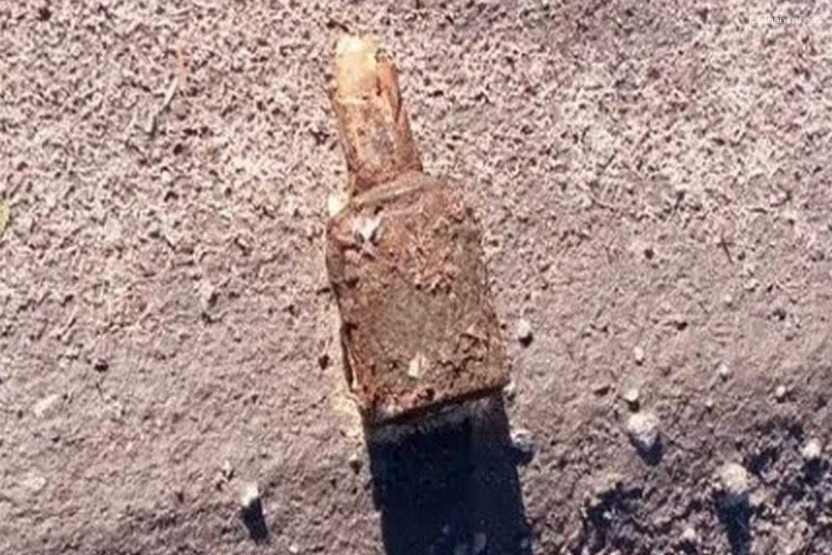В Брянской области нашли 3 боеприпаса времен ВОВ